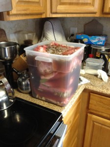 corned beef in container to be aged